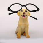 Creative Animal Koala Eye Frame Decoration